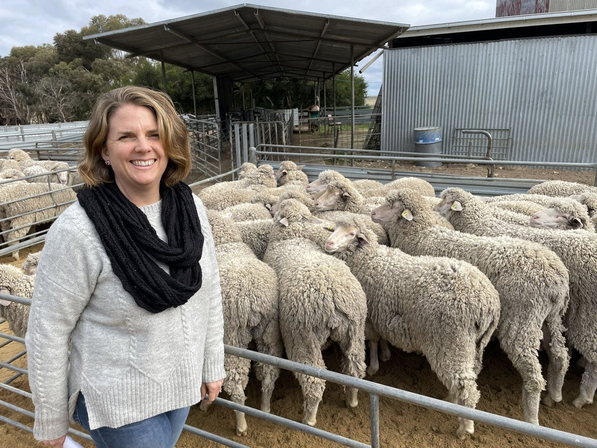 The best AMSEA Sire Evaluation Field Day of all time? South Australia leading the way on how to host the best! 120 punters can’t be wrong! 😬😜