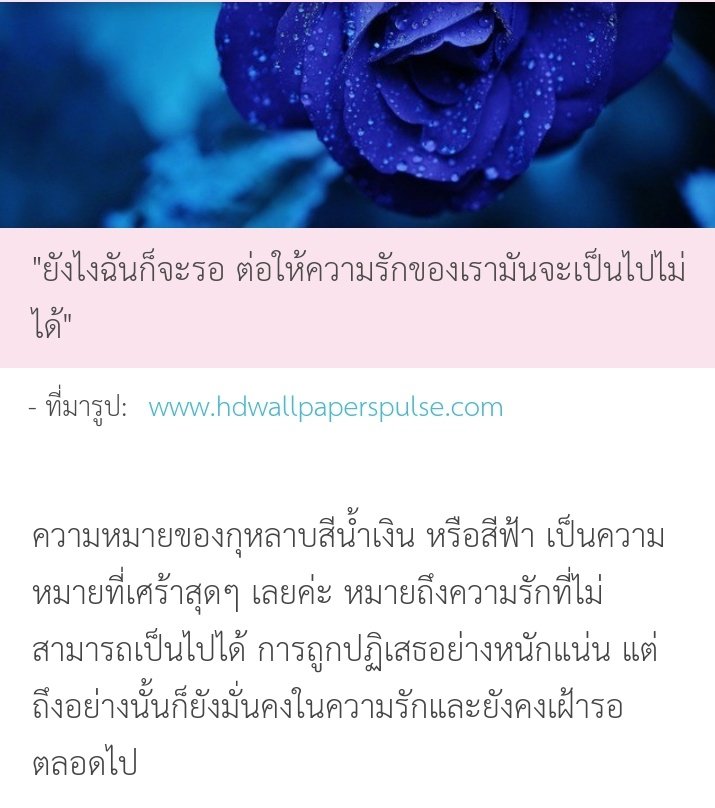 "Blue rose"