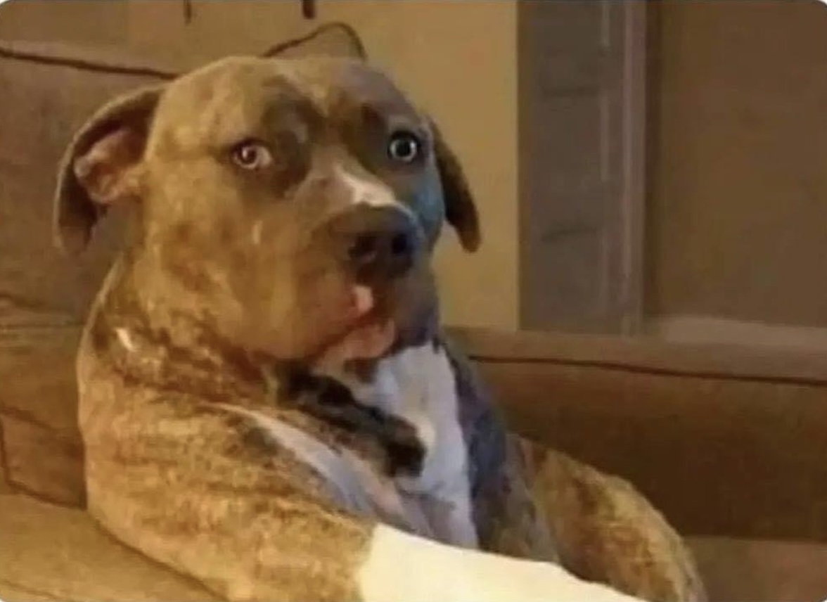 Mi cara cuando veo una película con alguien y no deja de hacerme preguntas en vez de verla.