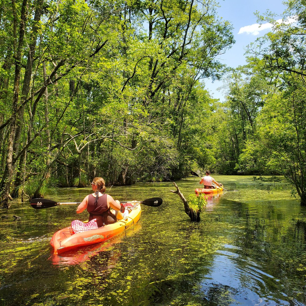 Adventure Kayak Tours tweet media