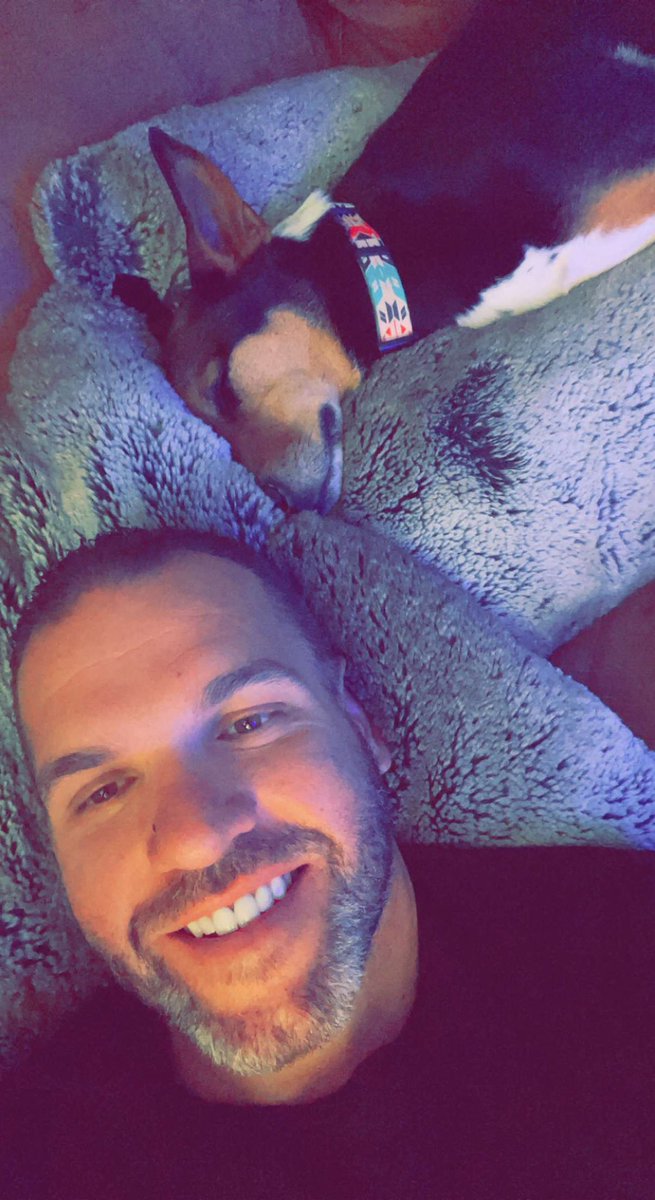 AndyDelivers's tweet image. Dogs are the best.