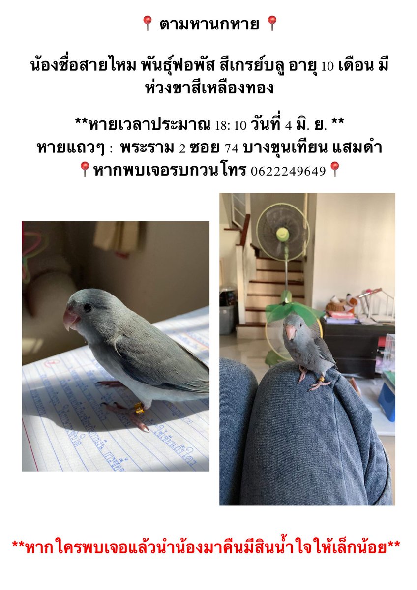 𝗣𝗿. tweet media