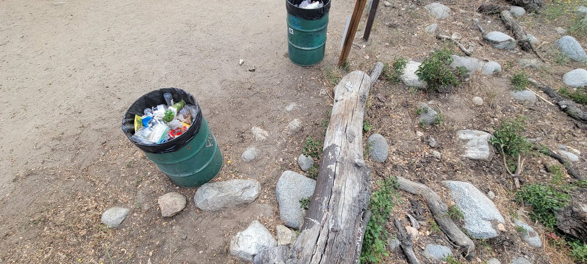 Edgar McGregor tweet media