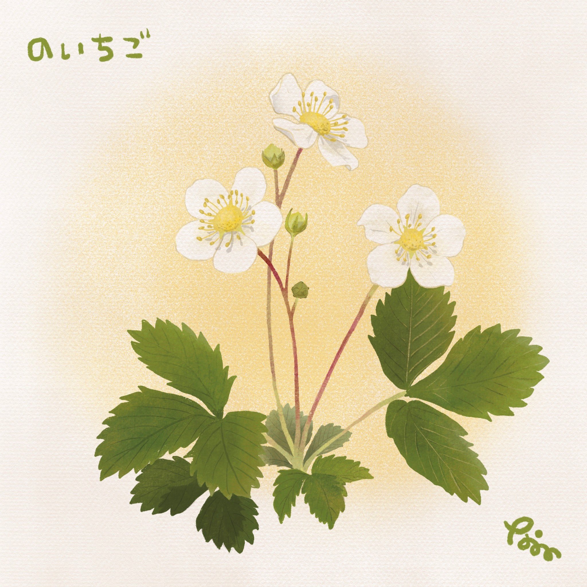 虹囲なな 切り絵作家 スイーツイラスト お花も描けるようになりたいなぁ と思って お庭の砂利の隙間から大量に生えてきちゃってる野いちごの花畑から 形の良いひとつを選んで かわいいお花畑にハチさんがたくさん集まってきています イラスト