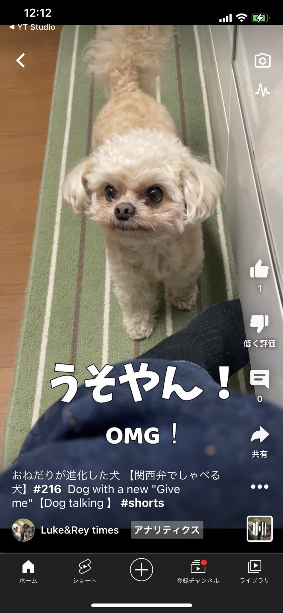 Luke Rey Times おねだりが進化した犬 関西弁でしゃべる犬 216 Dog With A New Give Me Dog Talking Shorts T Co Dc5qgrwvsj Youtubeより もしよければ観てやって下さいね T Co 8aty3f6vft Twitter Luke Rey Times おねだりが進化した犬 関西弁でしゃべる犬 216 Dog With A New Give Me Dog Talking Shorts T Co Dc5qgrwvsj Youtubeより もしよければ観てやって下さいね T Co 8aty3f6vft Twitter
