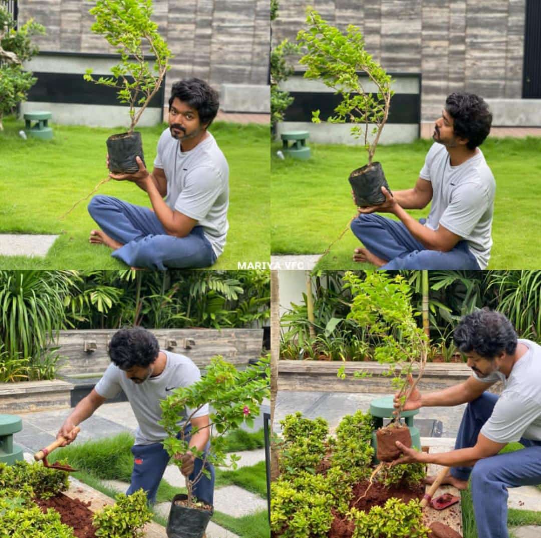 #HappyEnvironmentDay🌱@actorvijay