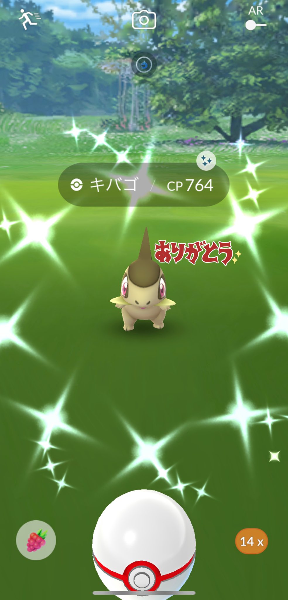 تويتر ゆたか ポケモンgo على تويتر キバゴがレイドから色違ってくれました ポケモンgo 色違い キバゴ ポケモンgofest22 T Co Fzysgku1tq