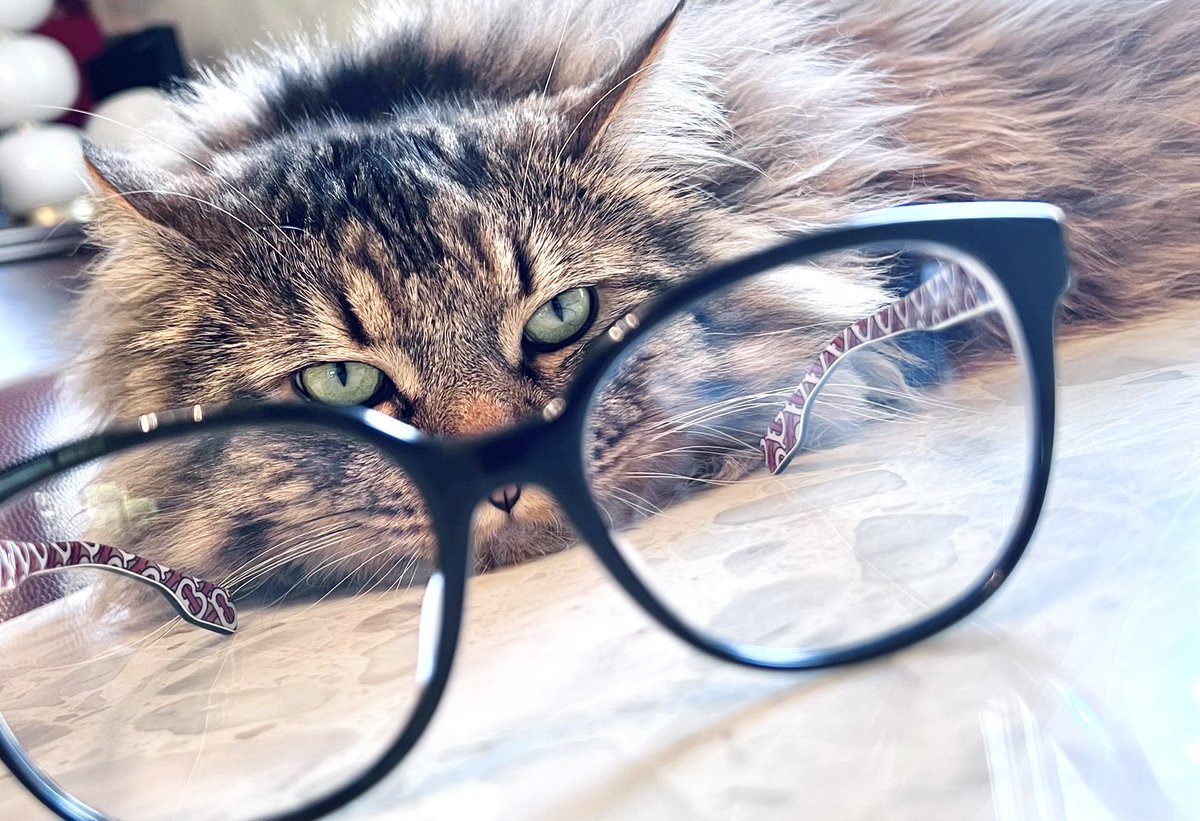 Traders waiting for a breakout…