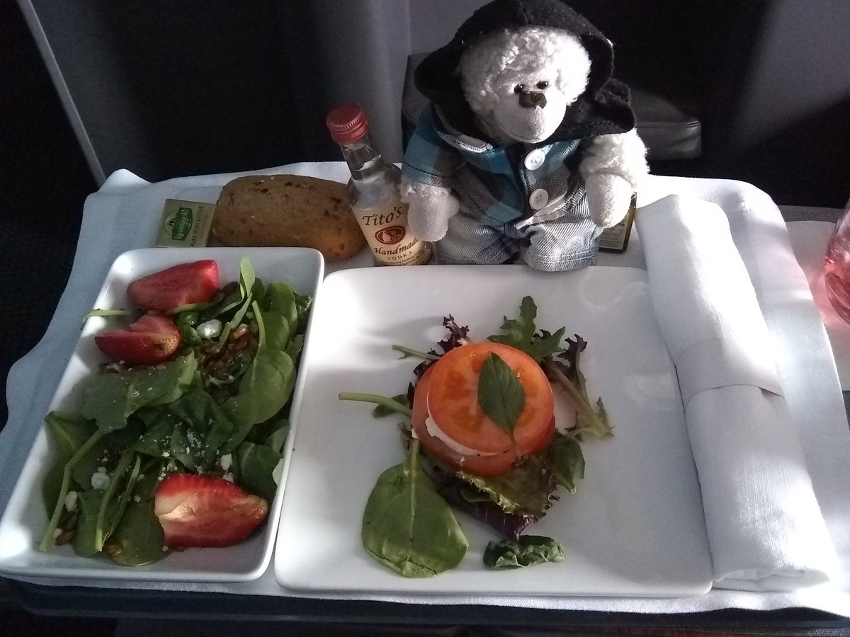 MomosAdventures's tweet photo. After a thoroughly enjoyable @AmericanAir flight with great food, great drink (I'm looking at you @TitosVodka) and fabulous flight attendants, this #SimianStormer is ready for his next @bastille adventure. Get ready to shut off the lights & dance with me @bastilledan! #GMTFtour https://t.co/hQnv25qSAK
