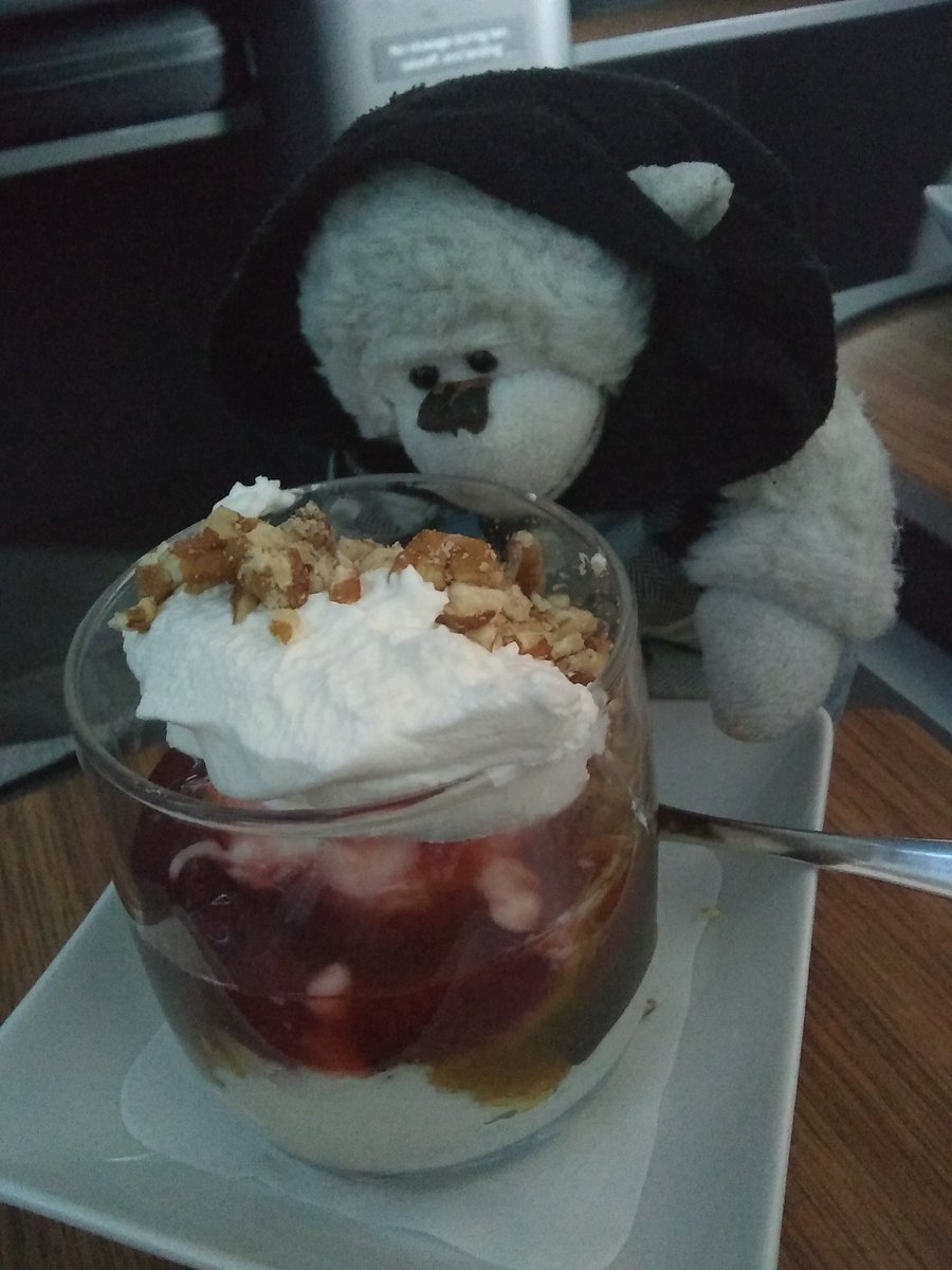 MomosAdventures's tweet photo. After a thoroughly enjoyable @AmericanAir flight with great food, great drink (I'm looking at you @TitosVodka) and fabulous flight attendants, this #SimianStormer is ready for his next @bastille adventure. Get ready to shut off the lights & dance with me @bastilledan! #GMTFtour https://t.co/hQnv25qSAK