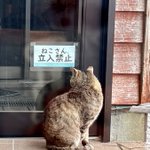 『ショック』ついに猫さん立ち入り禁止に・・w