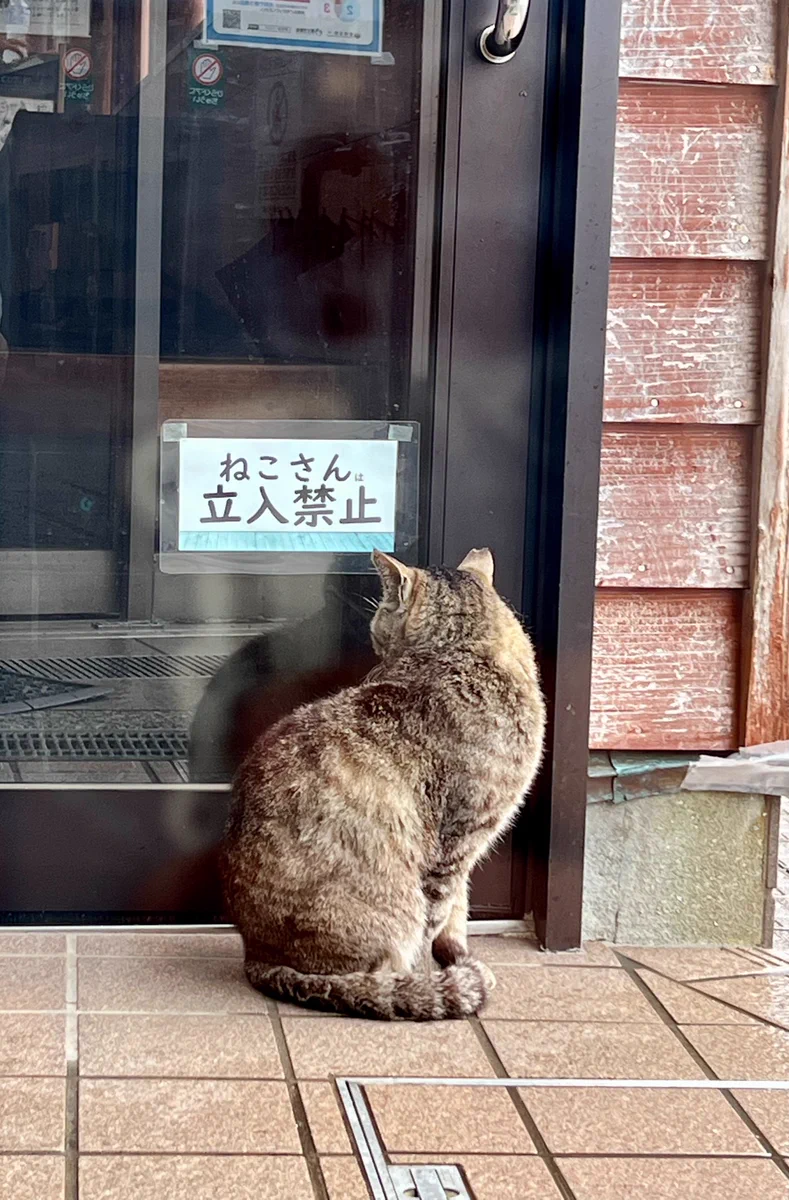 『ショック』ついに猫さん立ち入り禁止に・・ｗｗ