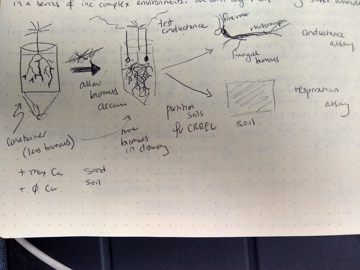 mixotrophe's tweet image. #planework. I am at my most focused on airplanes (perhaps unsurprisingly, thanks to the lack of distractions). That will be my excuse for my COVID productivity lull. #figaday 284/n