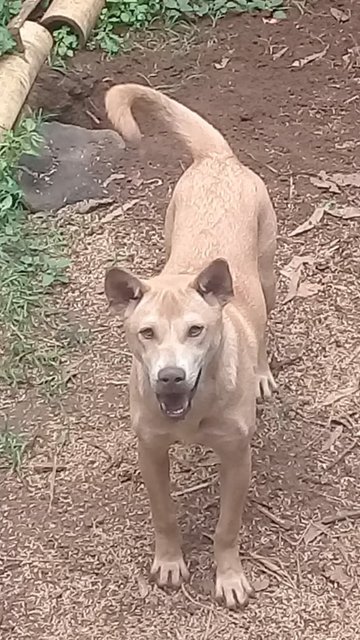 Audrey3308's tweet photo. #patrondoge https://t.co/QIWTj28YTu