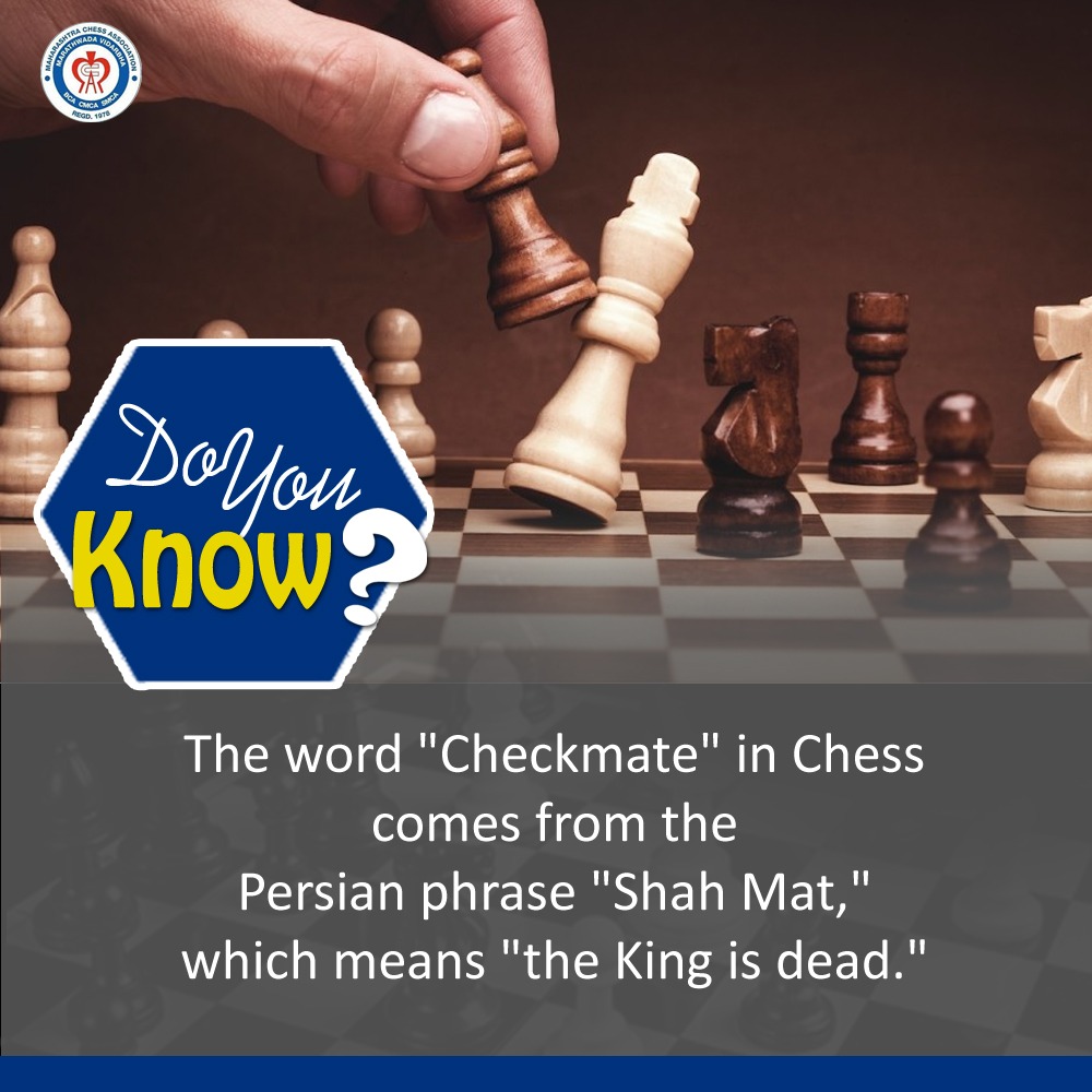 Definition & Meaning of Checkmate