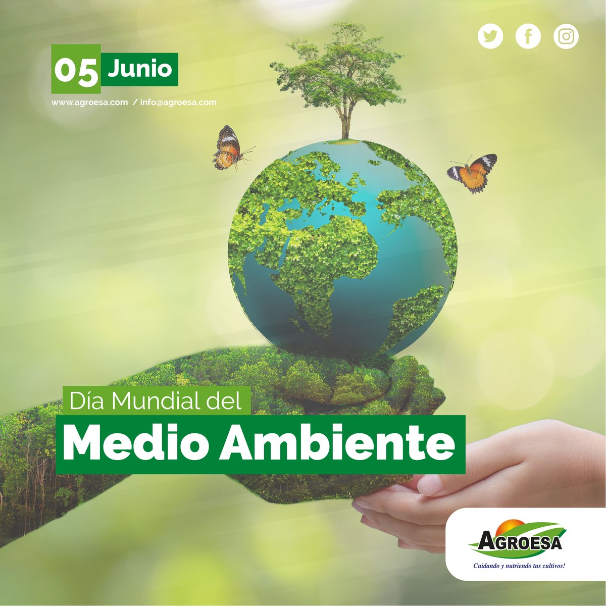 agroesasrl's tweet photo. Planta un árbol y estarás sembrando conciencia.
---
#agroesa #cuidando #nutriendo #cultivo #soluciones #agricultor #tierra #agricultura #agricola https://t.co/Xu1Tii5kyY