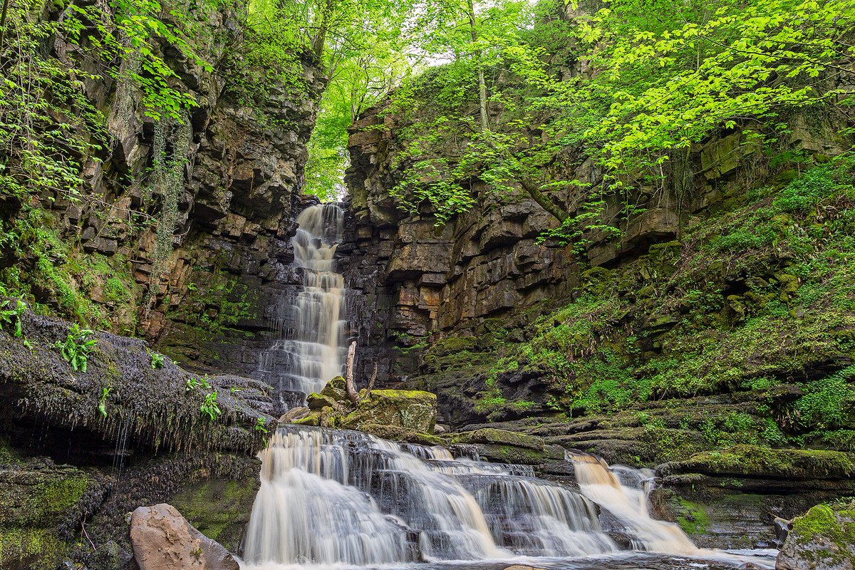 yorkshire_dales's tweet photo. We're starting the day by sharing one of our favourite Dales views. 

Spectacular waterfalls and ancient woodlands are special qualities of the #YorkshireDales, and you can visit these falls from the nearby village of Askrigg.   

#YorkshireDales #MillGillForce
📸 Wendy McDonnell https://t.co/UV36z2YIje
