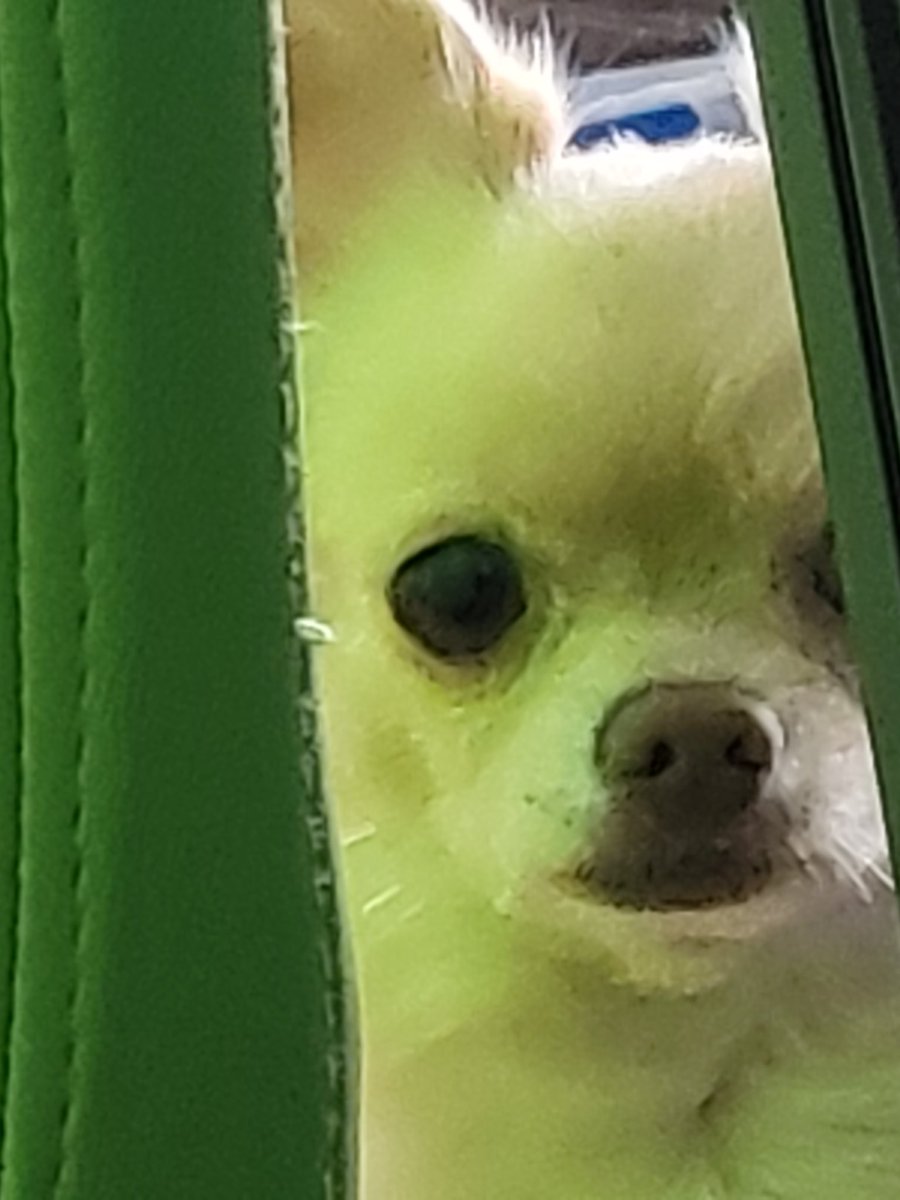 음.. 아니. 
내가 하지.