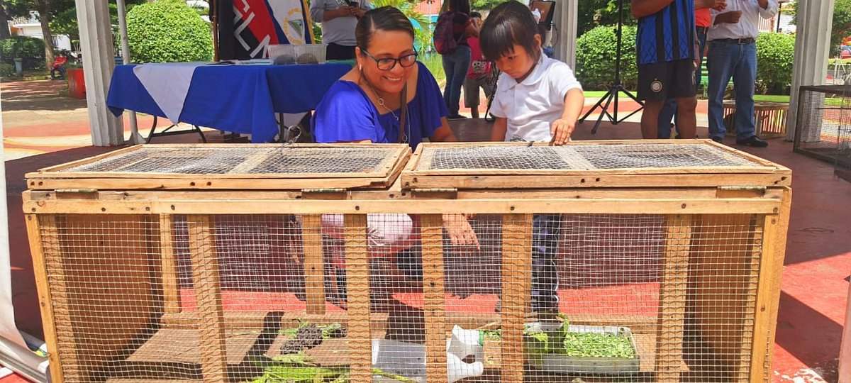 EliuYuber's tweet photo. #SanMarcos Expoferia con Animales Exóticos en Saludo al día Internacional del Medio Ambiente. 
@AnielkaOrtiz6 @jocelyn_huete 

#4319FuerzasDeVictorias https://t.co/GBnm2JiWch
