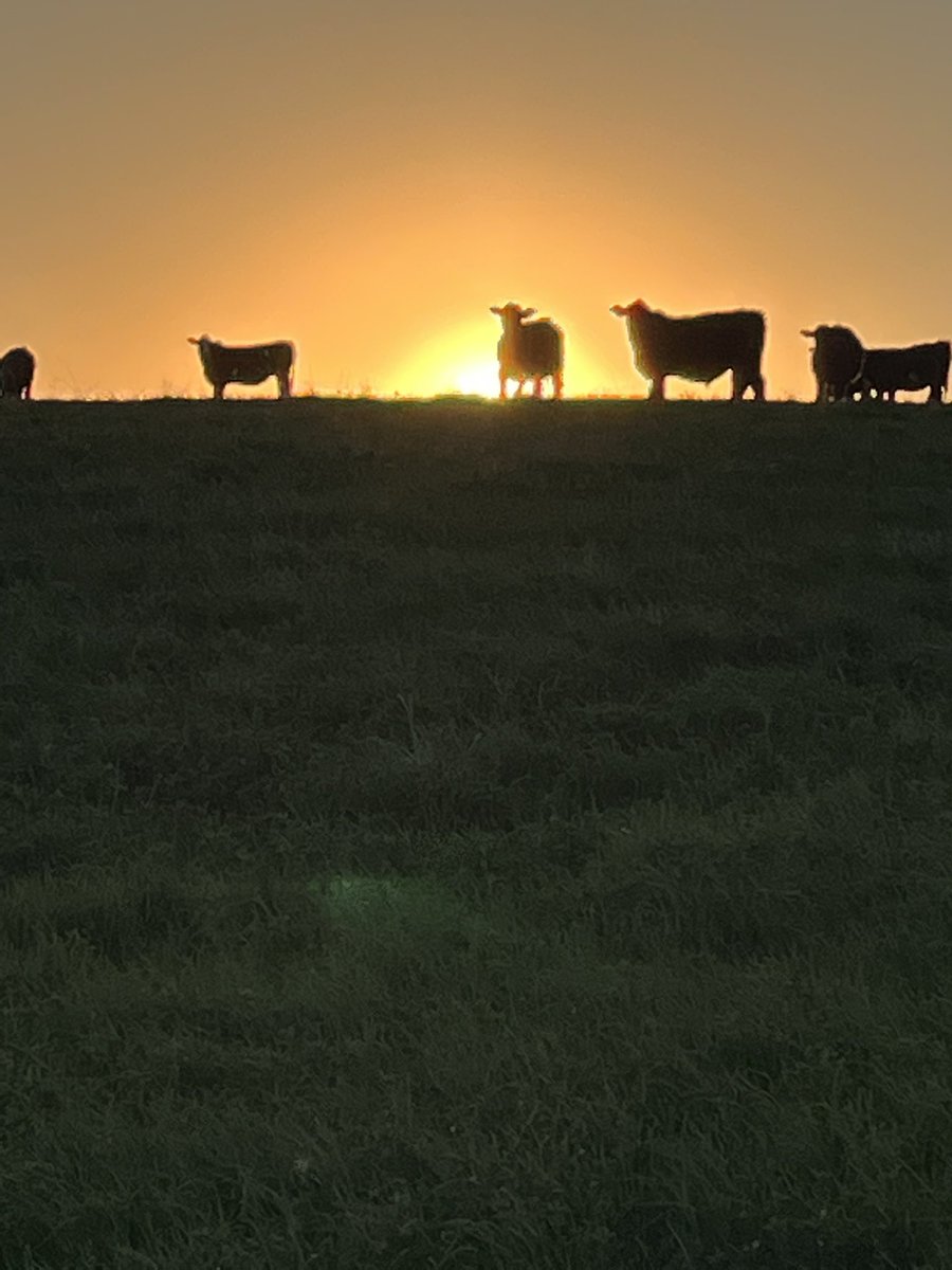 Bruce Curle tweet media