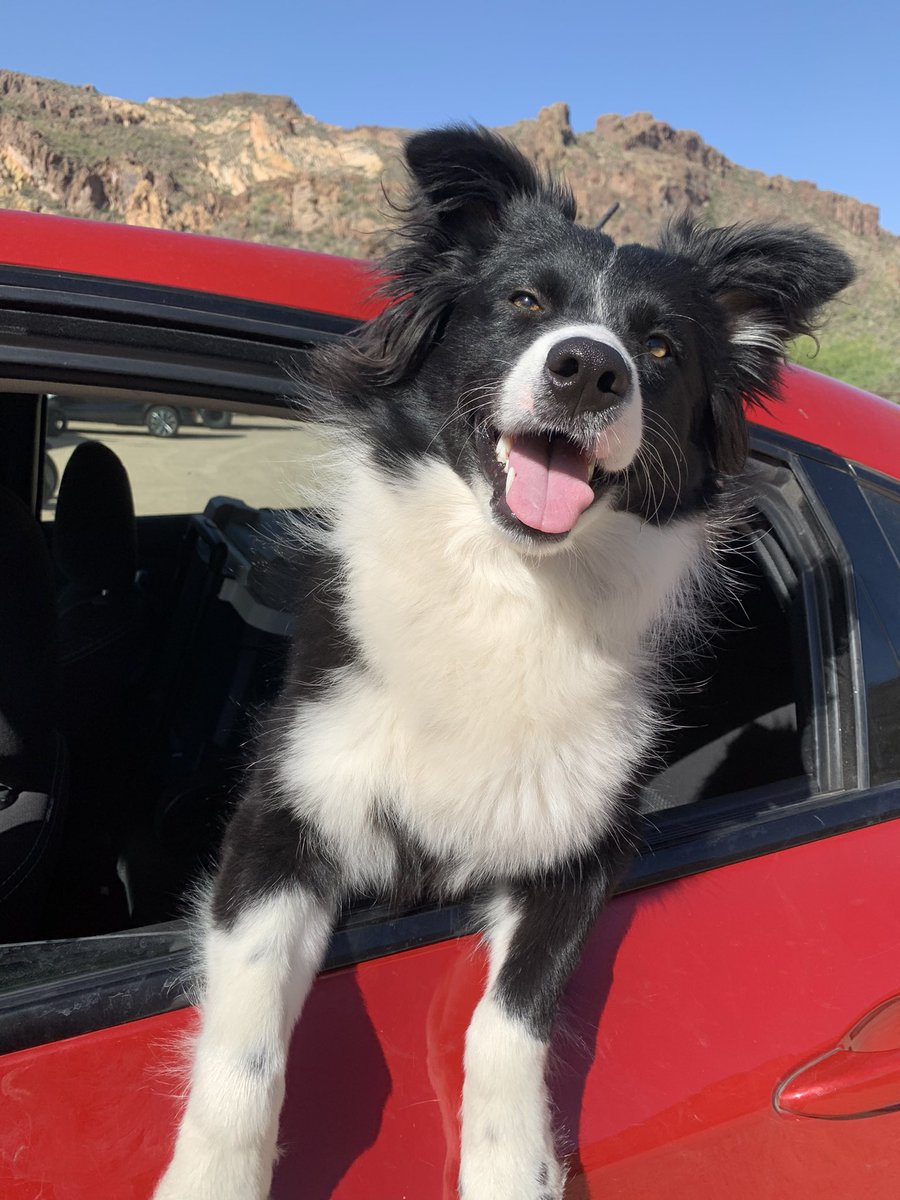 ThatFoolBeck's tweet image. Valley girl ❤️❤️❤️