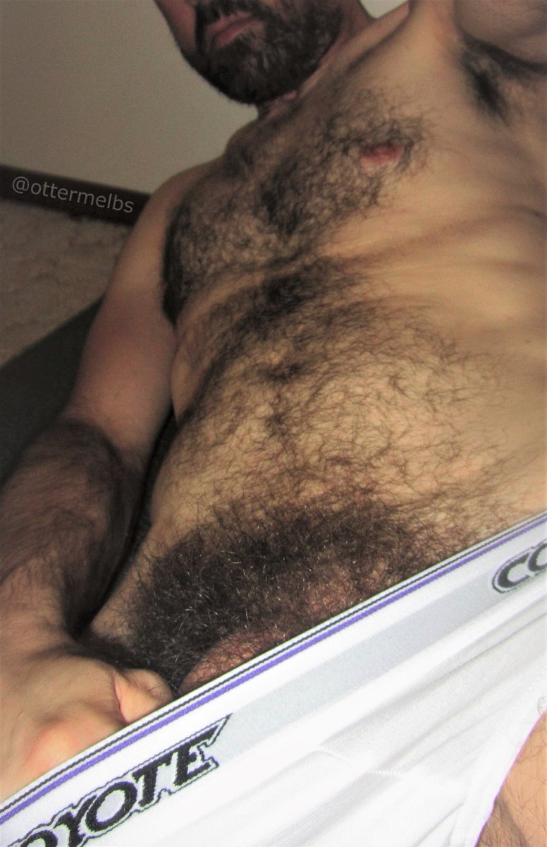 𝐎𝐭𝐭𝐞𝐫𝐌𝐞𝐥𝐛𝐬 tweet media