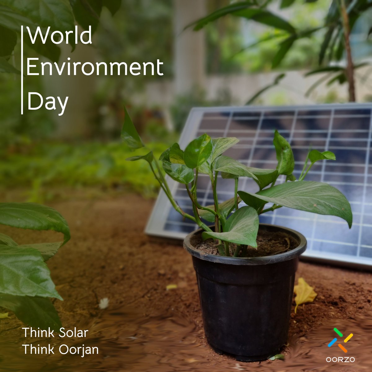 Oorzo_co's tweet photo. Happy World Environment Day!!

On this environment day, let’s take a step towards a #greener and a #cleaner environment.

Think #Solar! Think #Oorjan!

#worldenvironmentday #sustainability #renewableenergy #ecofriendly #onlyoneearth #greenenvironment #cleanenergy #solarenergy https://t.co/tdSWd5yCG6