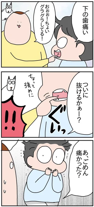 息子の下の歯が抜けるまで① 