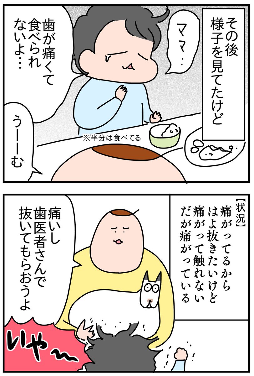 息子の下の歯が抜けるまで① 