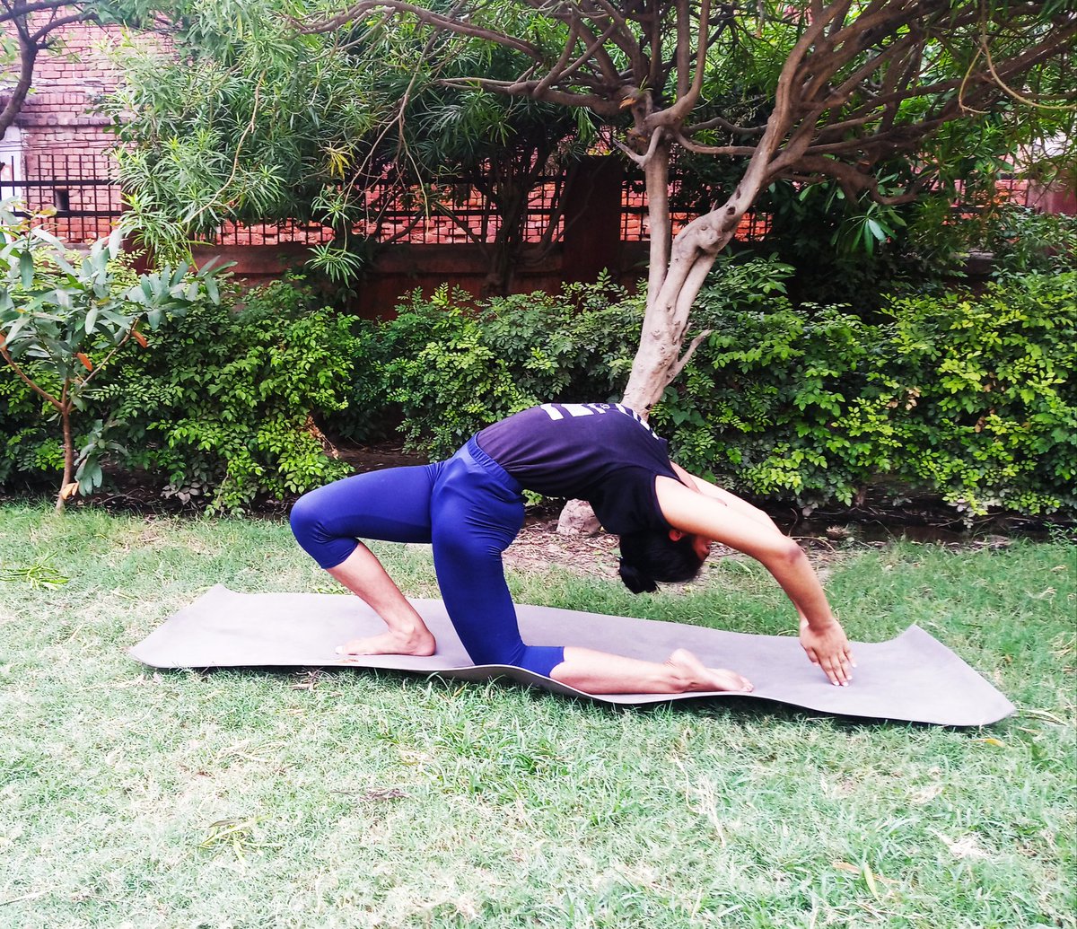 Harshitayoga's tweet photo. The environment is no one’s property to destroy. It’s everyone’s responsibility to protect.🌱🤝
Happy World Environment Day 2022🌿🌱

#WorldEnvironmentDay #EnvironmentDay #PartnerWithThePlanet #RiseForHariyali #sundayvibes #morningmood #yoga4stress #nature https://t.co/Ggp4vGzmGQ