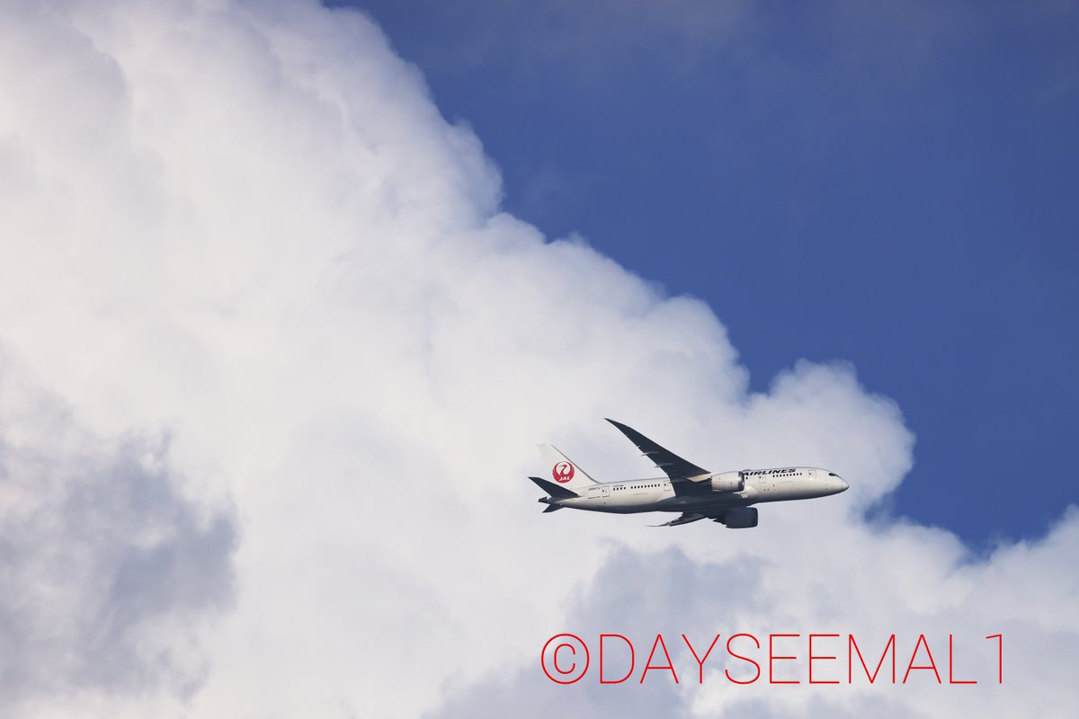 DAYSEEMAL1's tweet photo. 雲のまにまに(´- `*) 
青空になったり、モクモクと雲が湧いたり、ヒコーキは雲間からひょっこりと出てくる次第、こういった雲との絡みも楽しいものです...

#JAL
①#JA11XJ #A350-941
#JL320(FUK→HND)
②#JA601J #B767-346ER 
#JL284(IZO→HND)
③#JA847J #B787-8
#JL126(ITM→HND)
2022/6/4 https://t.co/dESxN1LuH9