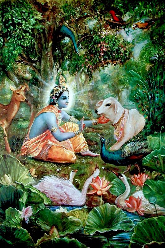 Jaya_Upadhyaya tweet media
