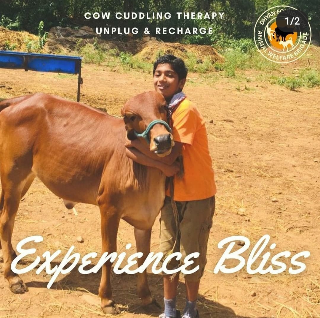 Sahana Hegde tweet media