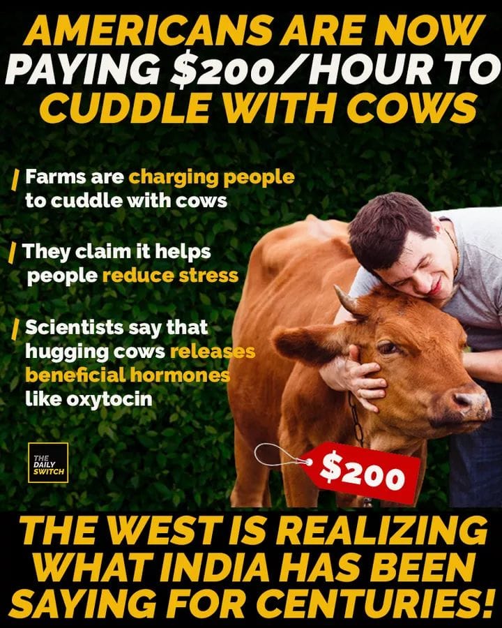 Sahana Hegde tweet media