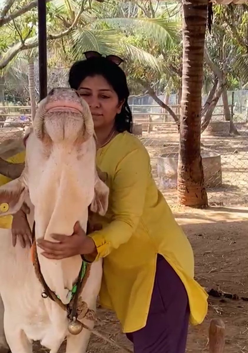 Sahana Hegde tweet media