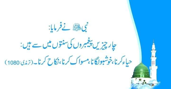 ahmadnaeem444's tweet photo. Holy Prophet PEACE BE UPON HIM SAID :
Four things are the sunnahs of messengers :
1- to be ashamed
2- fragrance
3- to miswak
4- to get married
#صباح_الخيرᅠ
#خاتم_النبیین_محمدﷺ
#sundayvibes #sundaymot https://t.co/qvBbxeAH38