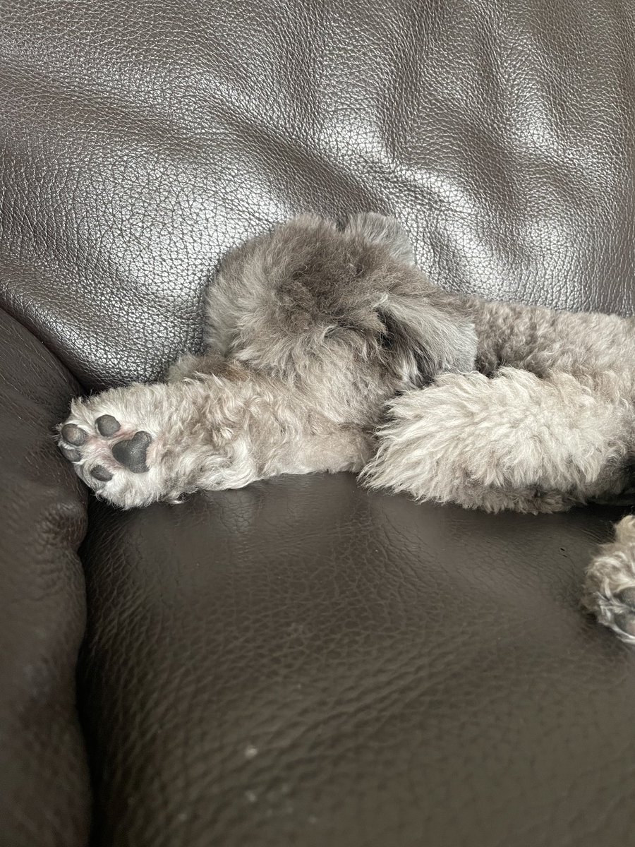 足の裏をご覧あれ