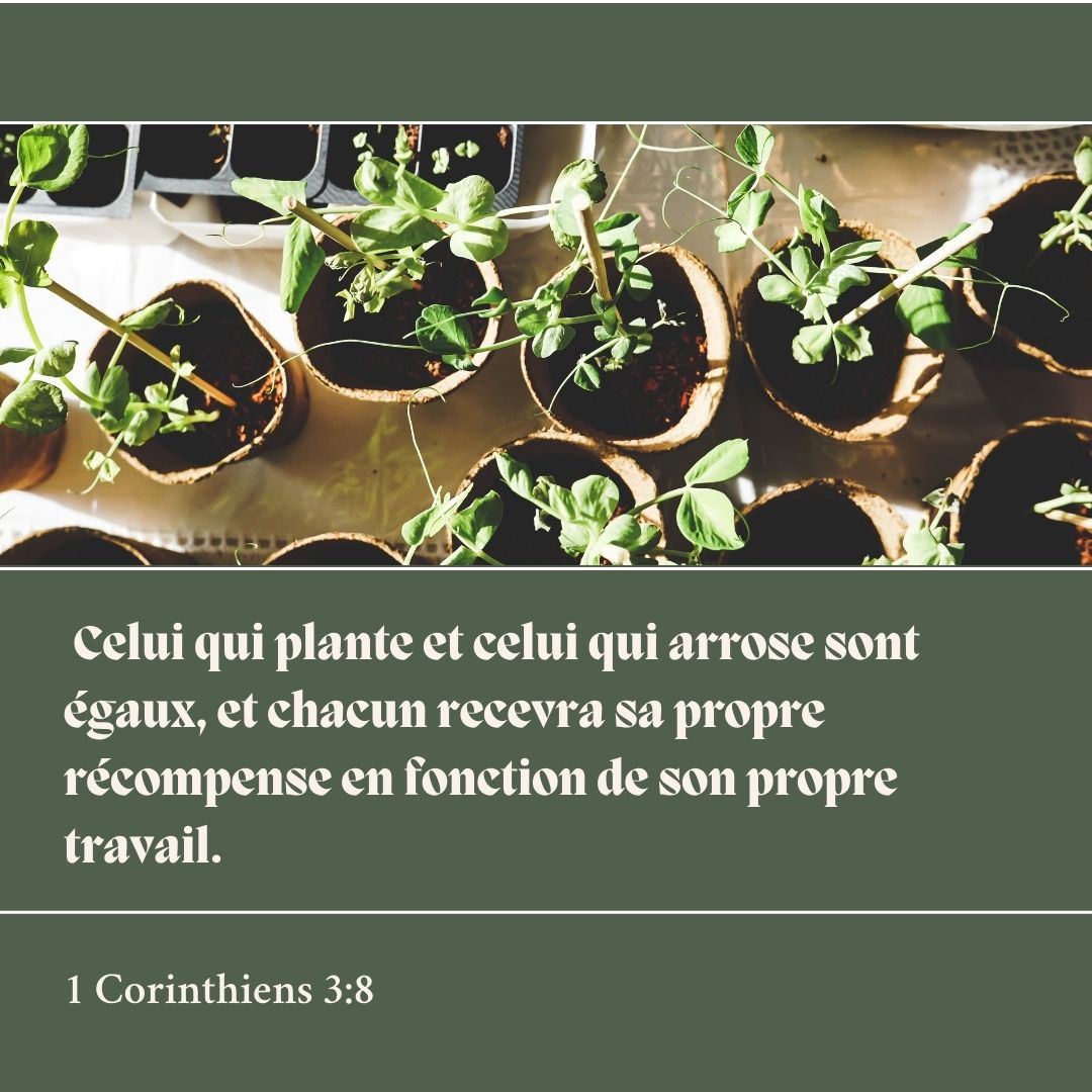 la_Bible's tweet photo. https://t.co/ZSu70v7ycC