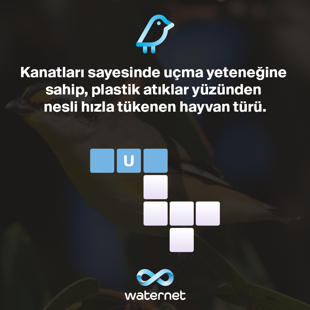 Plastik atıklar ve karbon salınımı iklim krizinin sebeplerinden ikisi. 
Doğal kaynaklarımızın yok olmaması, canlı türlerinin neslinin tükenmemesi için sizi plastik atıklarınızı ve karbon salınımınızı azaltmaya davet ediyoruz! 🙌🏻 
Dünya #ÇevreGünü Kutlu Olsun! 🌎