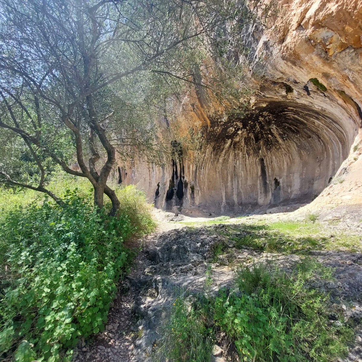 EstherPolop's tweet photo. "After two years of research, my partner and I found Xàtiva as the best place to live in". I was told that today by a Scotish lady 😍😍. It's not just my passion as a #Xàtiva 's citizen😇
... 🌸🌳🦋🌞🏰⛲🏛... there's no place 🌍 as this one.  Today in the
 #blackcavetour https://t.co/PqeRigdB8y