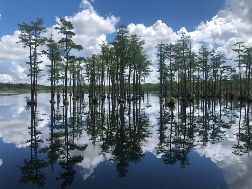Blipfoto's tweet photo. 📸 It's #BCSplash time again!
If you want to create an element of depth in your photographs, reflections on water are a perfect way to do this.
This absolute beauty was created by MaryElizaR from the USA &amp; was chosen as this week's BCSplash.
Read more here https://t.co/udGxlmPdUC https://t.co/TUXGYxUvlA