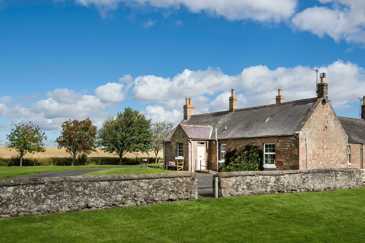 Handiscover tweet media