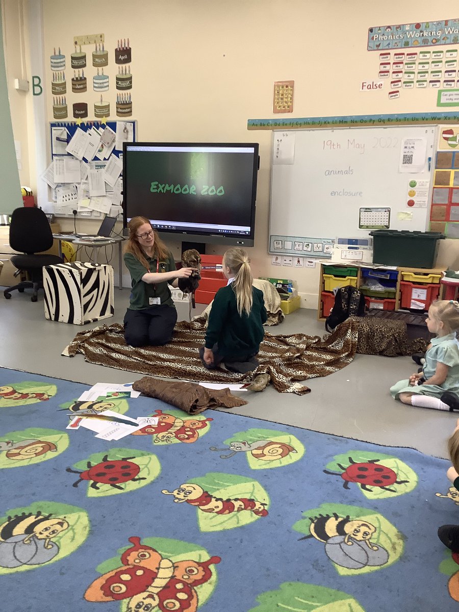 Kingston Black tweet media