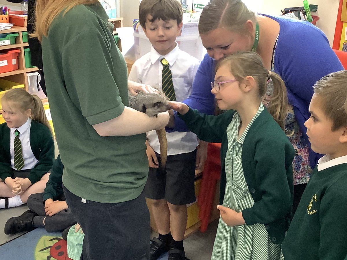 Kingston Black tweet media