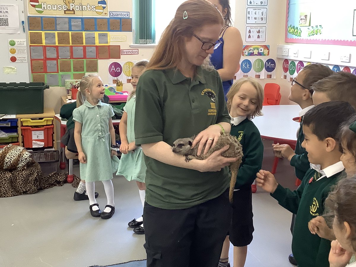 Kingston Black tweet media