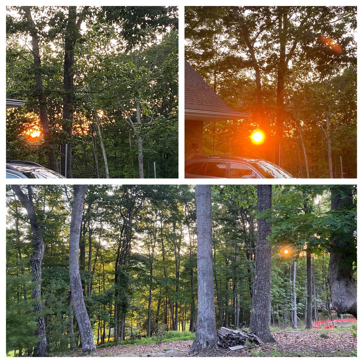 thekevinpannell's tweet photo. Rest & recovery day:
- Sunrise
- @themiraclemorning SAVERS routine
- Light stretching
Get up. Get after it. Godspeed.
#sunrise #instagood #morning #trees #nature #mountains #blacksburg #stretch #mindfulness #savers #peopleprocessprogress https://t.co/6EnvtvUcu8