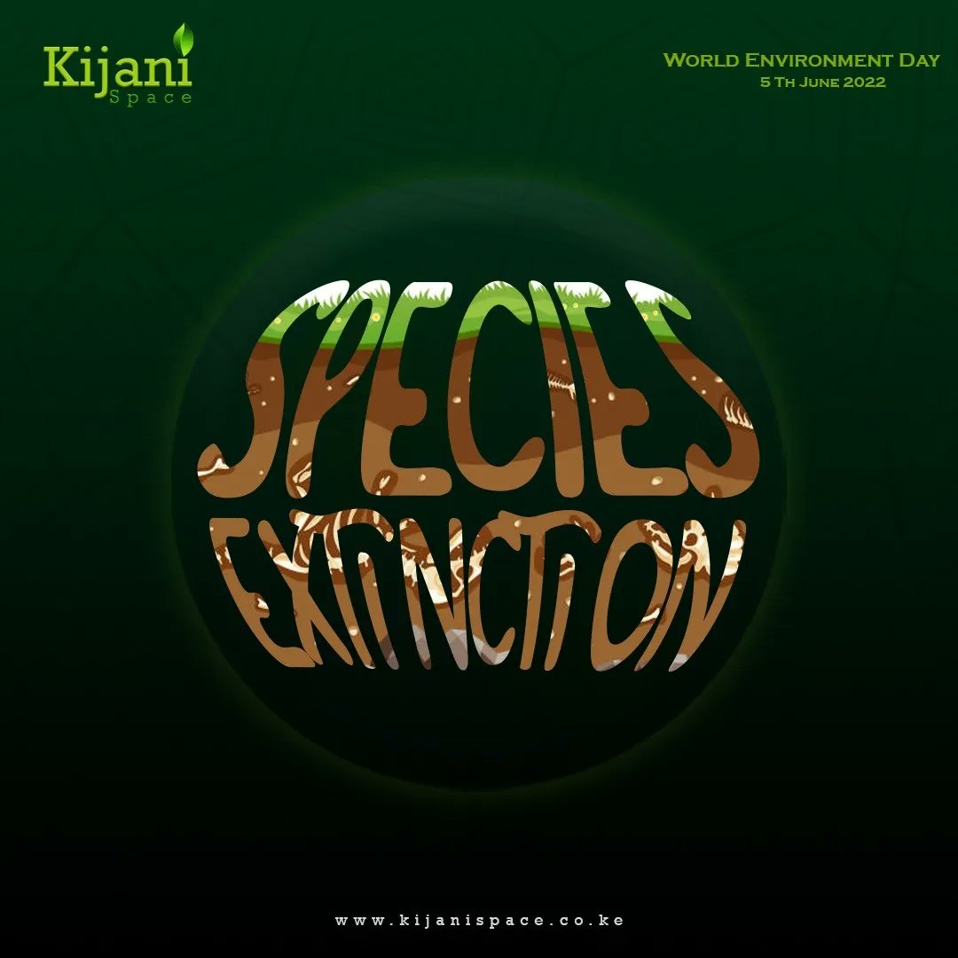 KijaniSpace's tweet photo. Species extinction has stopped being a natural process and is as a result of human activities, for example through habitat loss, we risk losing diversity and beauty of our planet forever. Scientific research is playing a big factor in making sure we don't lose our biodiversity. https://t.co/AxurdbZzwl