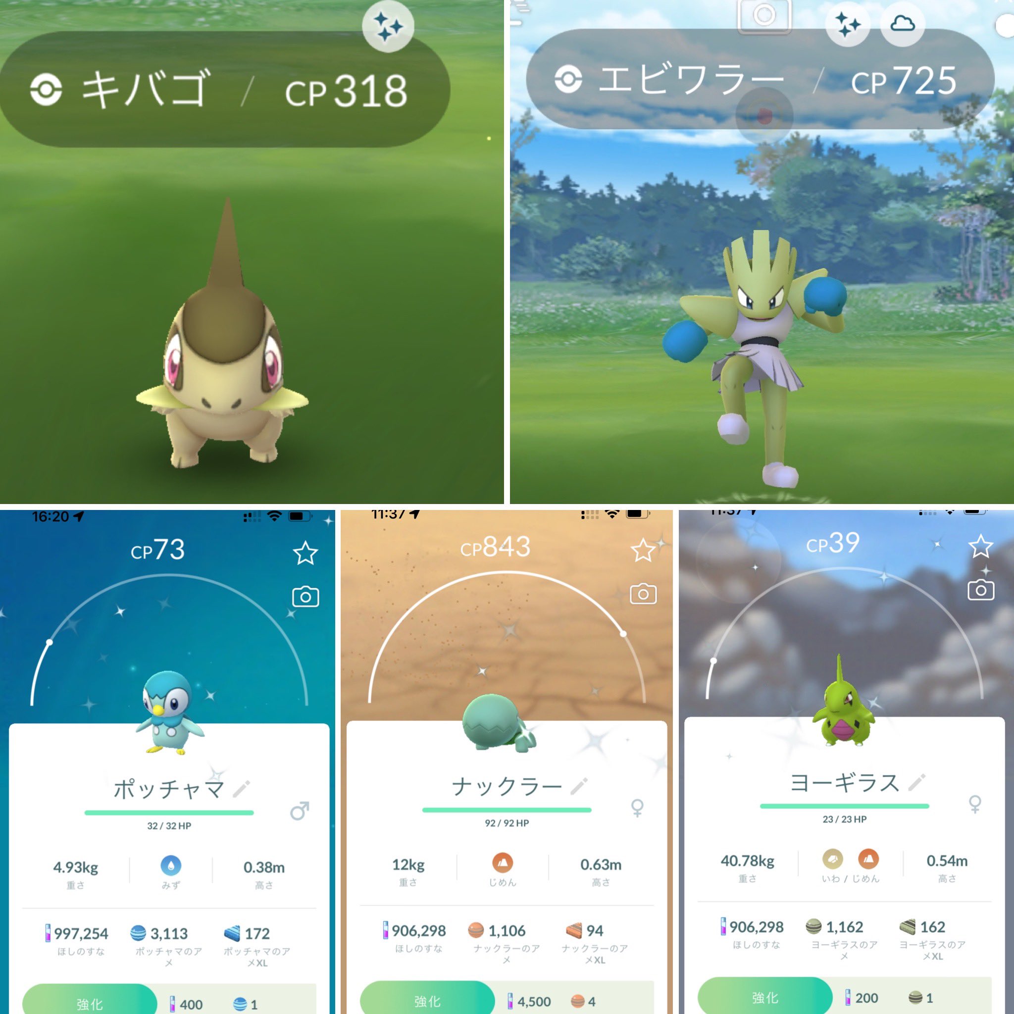 色違いナックラー Twitter Search Twitter