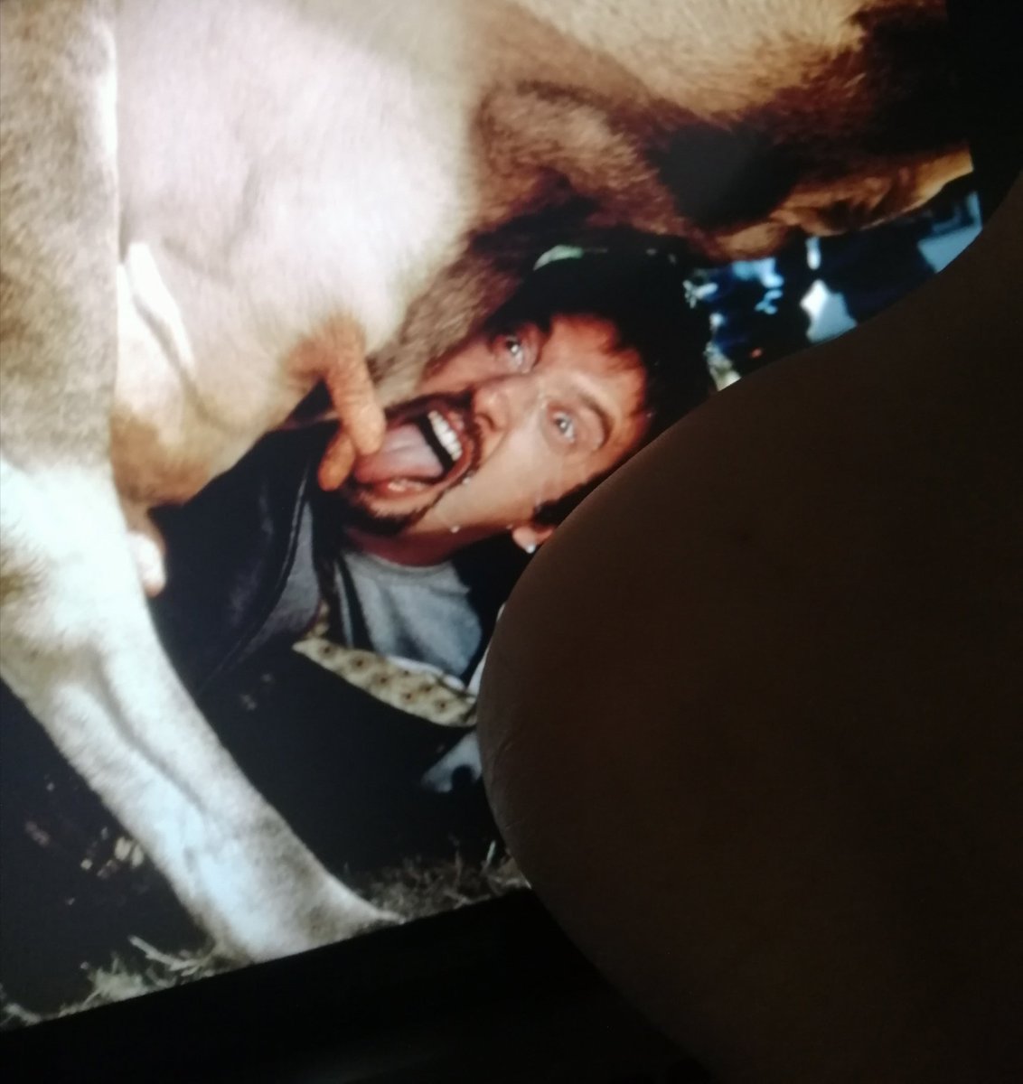 Ебля мозгов в деле