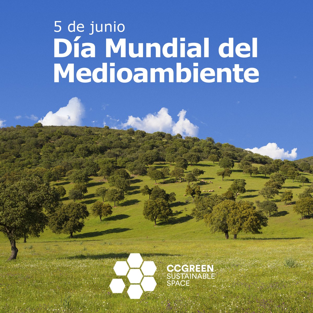🌿Hoy celebramos el #DiaMundialDelMedioAmbiente

♻️Desde #CCGreen contribuimos al cuidado de nuestra naturaleza y la lucha contra el cambio climático a través del primer Centro de Datos Neutro en Carbono de Europa.

🌏Juntos por un mundo más sostenible.

#sustainablespace
